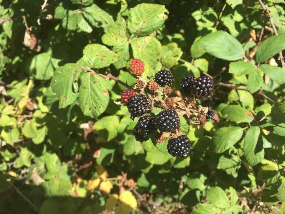 Вилла Eco-Gite En Ardeche Viviers Экстерьер фото