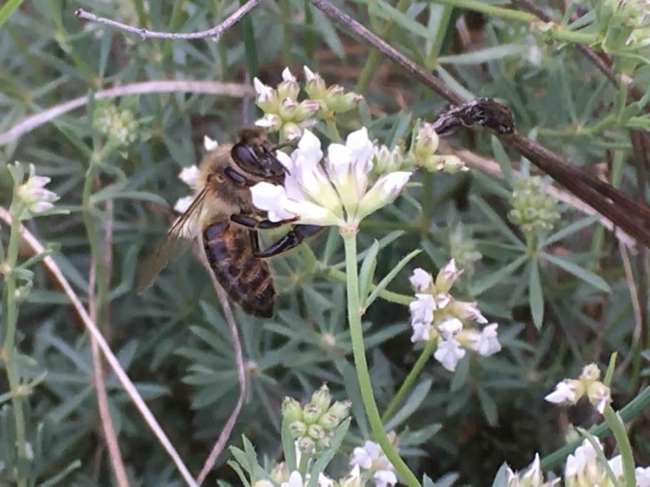 Вилла Eco-Gite En Ardeche Viviers Экстерьер фото