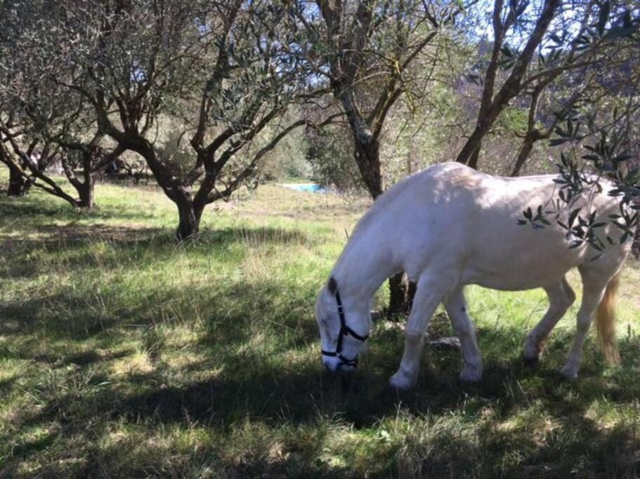 Вилла Eco-Gite En Ardeche Viviers Экстерьер фото