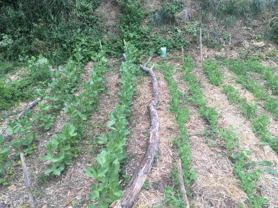 Вилла Eco-Gite En Ardeche Viviers Экстерьер фото