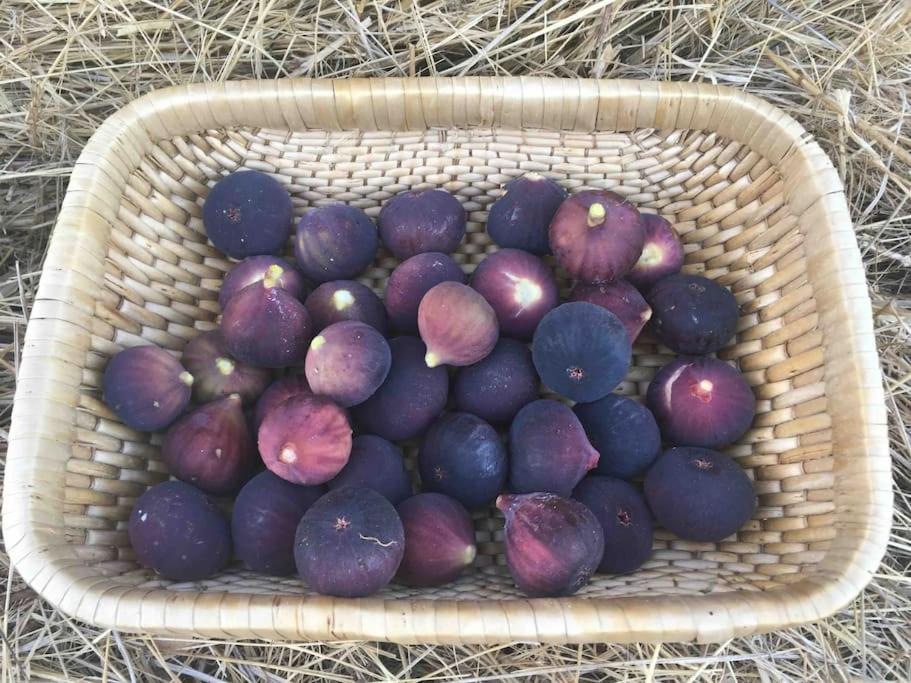 Вилла Eco-Gite En Ardeche Viviers Экстерьер фото