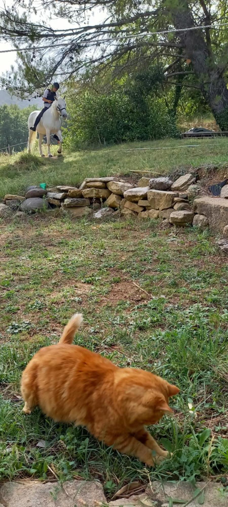 Вилла Eco-Gite En Ardeche Viviers Экстерьер фото